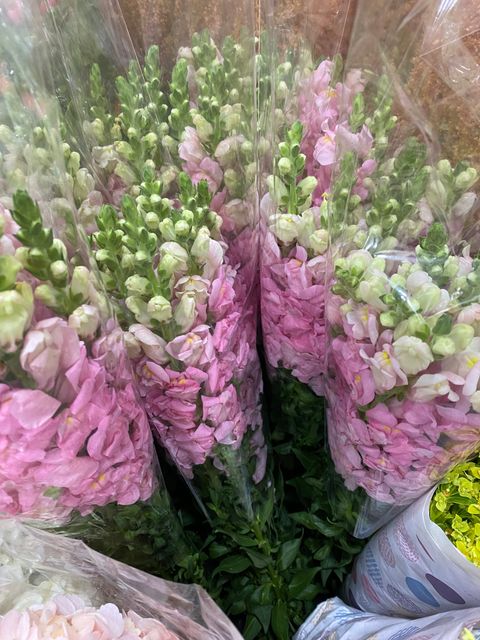 image_5AFEF80F-1640-4AE7-8939-5866279826C2_1761801530