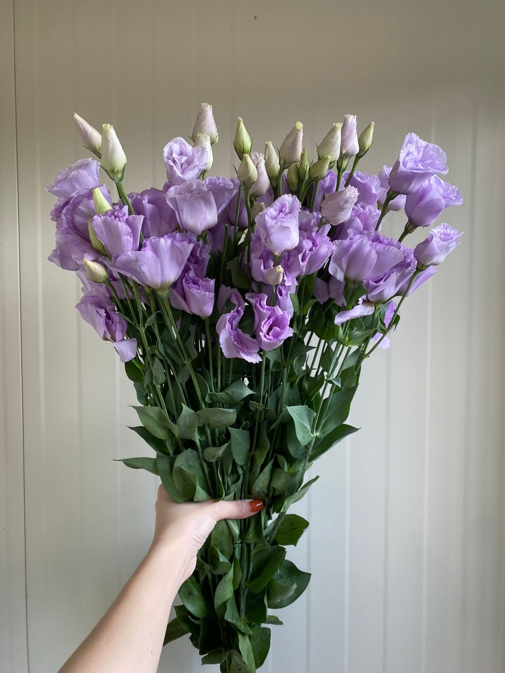 image_25825755-6430-45C1-A6C8-D6D0AE057C22_1761801621