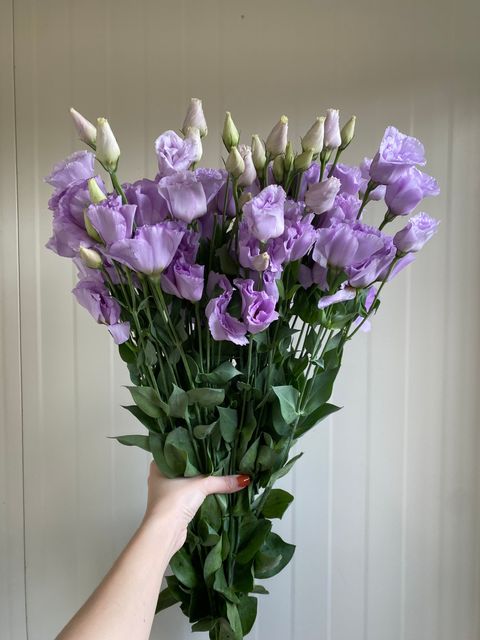 image_25825755-6430-45C1-A6C8-D6D0AE057C22_1761801621