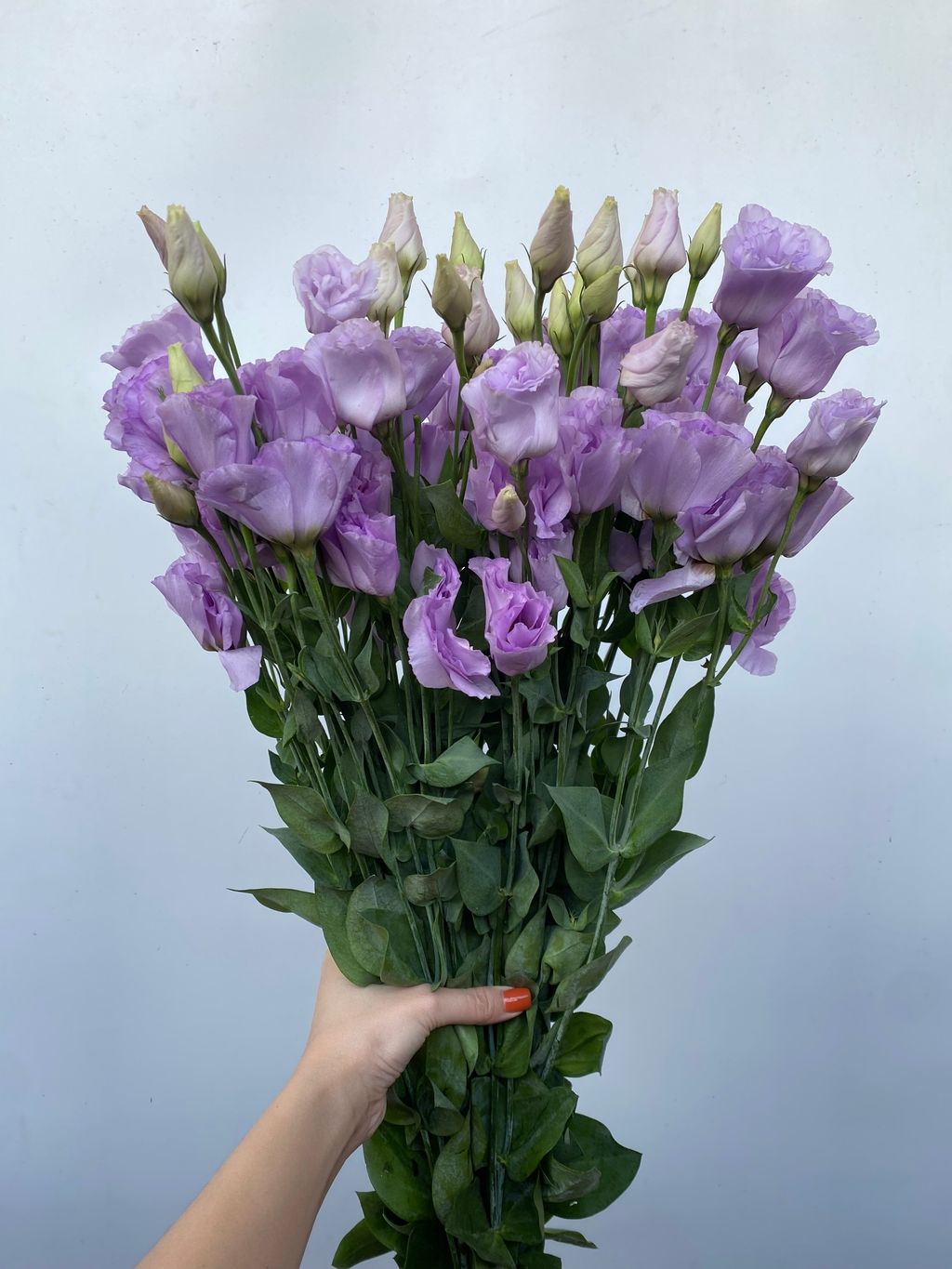 image_A74A45CE-2850-4808-A6D1-9DB2171C906C_1761801622