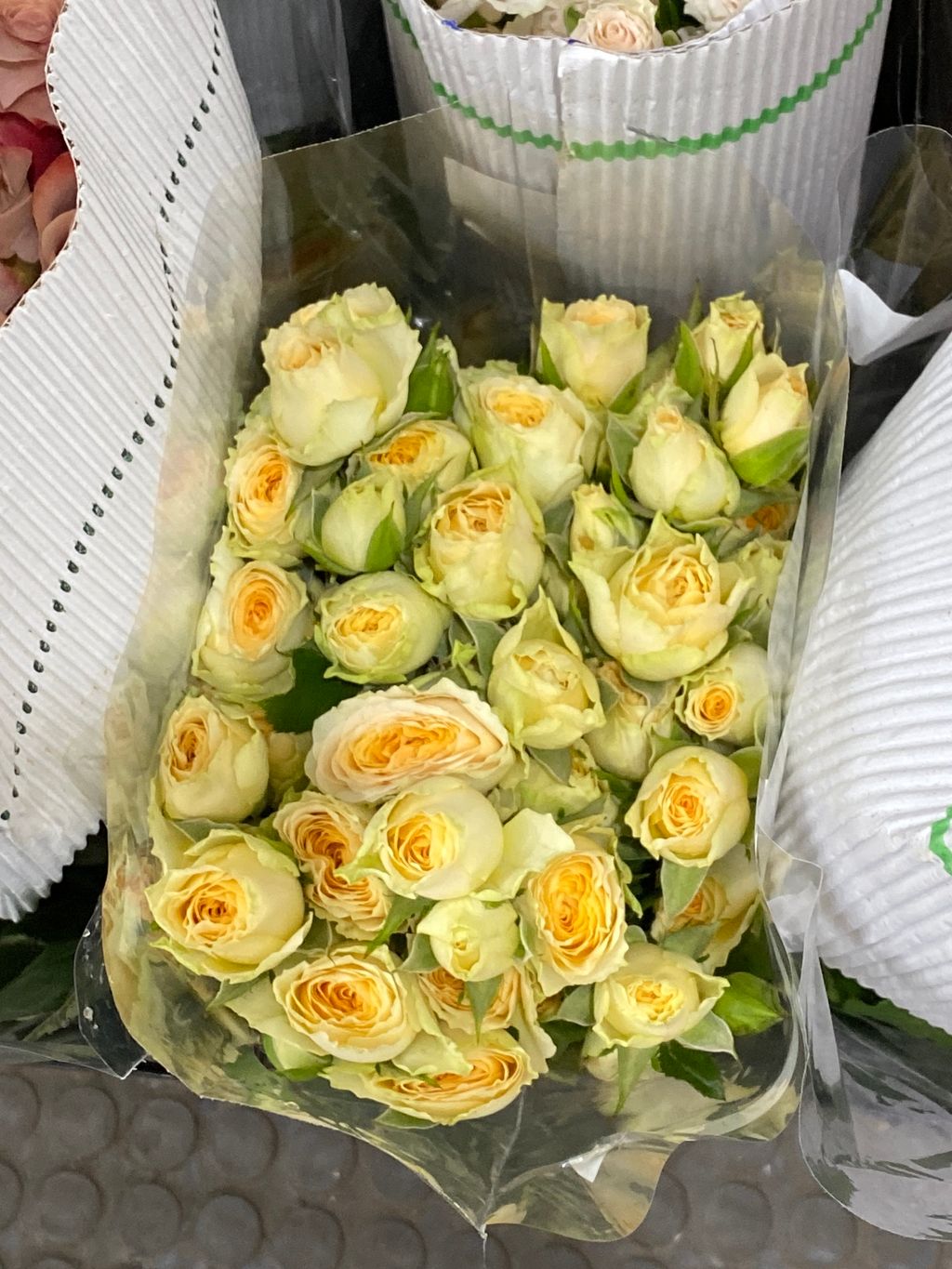 image_picker_8D9AD411-419F-45FF-AF2D-C5376D90E96B-3537-000002151AFA0F29