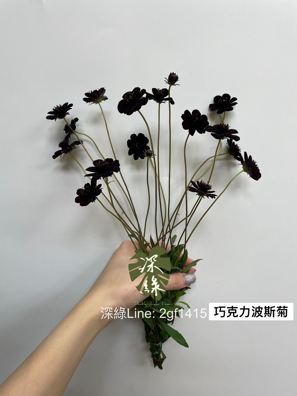 51B36F22-21E6-4992-B456-9868190B80B3