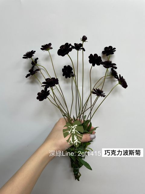 51B36F22-21E6-4992-B456-9868190B80B3