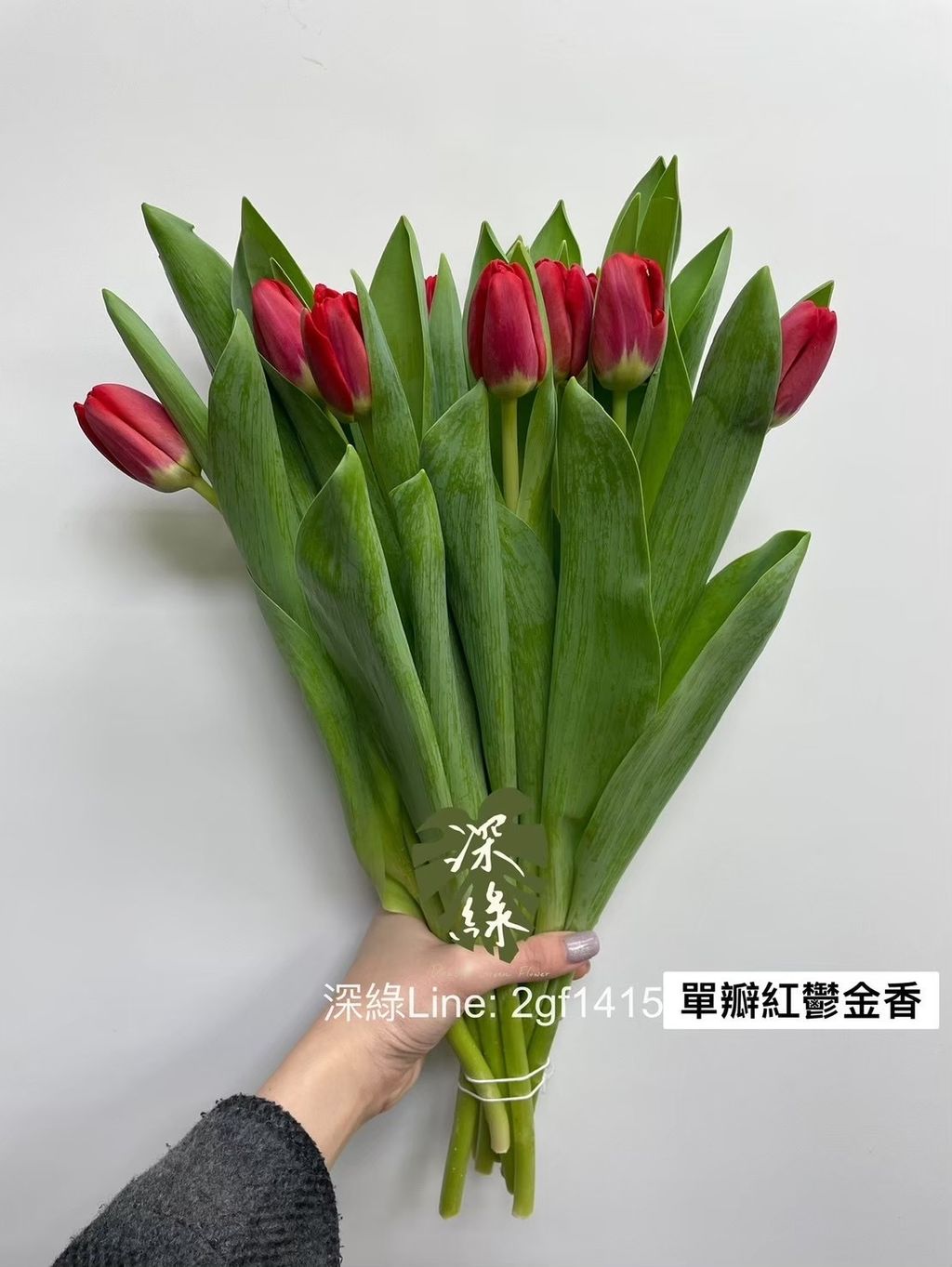 image_87268A5F-B8CE-43C6-A296-D6B0F40AE6A0_1762041958