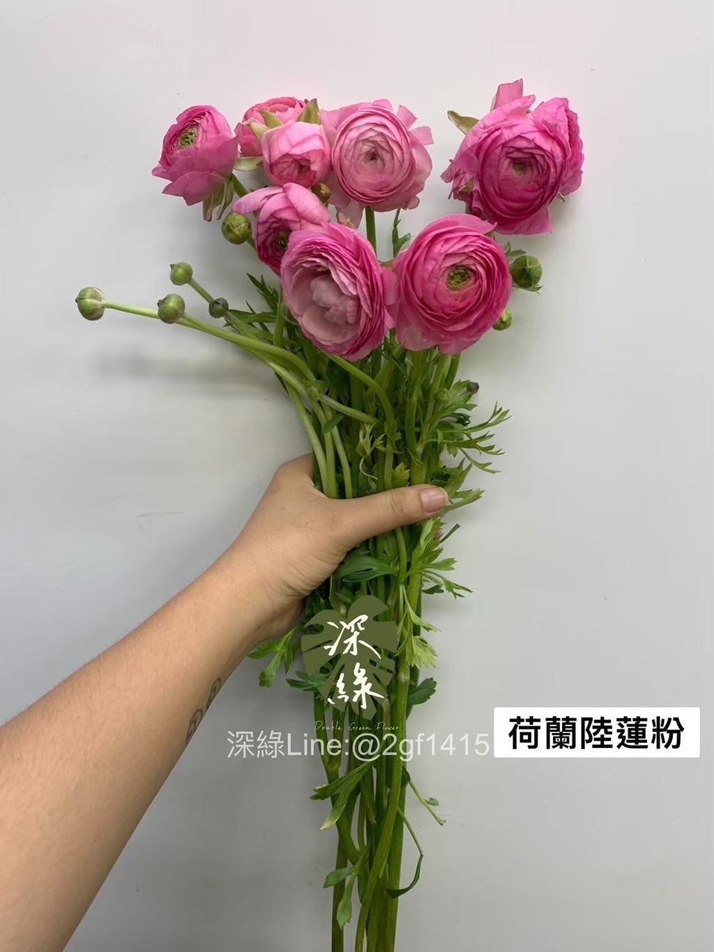 image_78A1E846-02FA-4A26-B112-1E1ADD86F6DA_1762045607