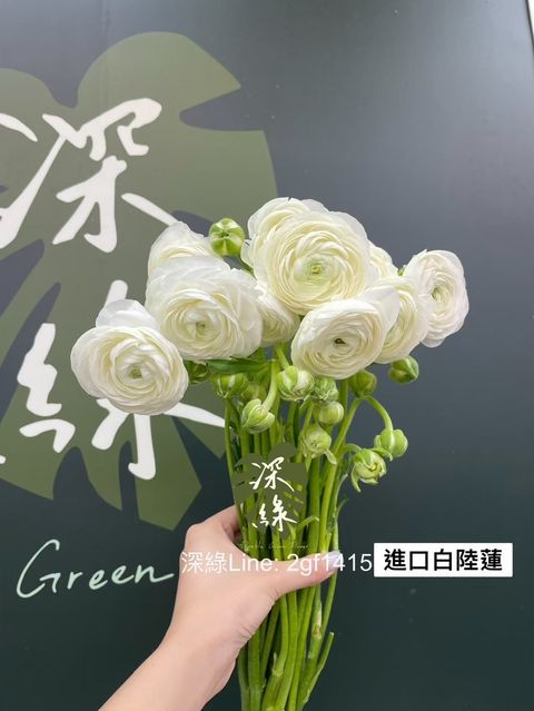 image_5E1393B6-4C1B-49C7-86EF-A274D2198C55_1762045712