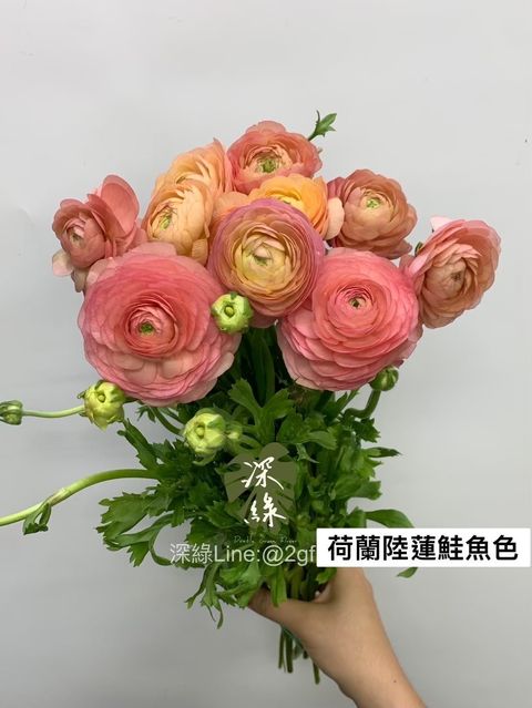 image_0FFA38E3-D3B0-41B0-BF58-85C4AB8DD81D_1762045781