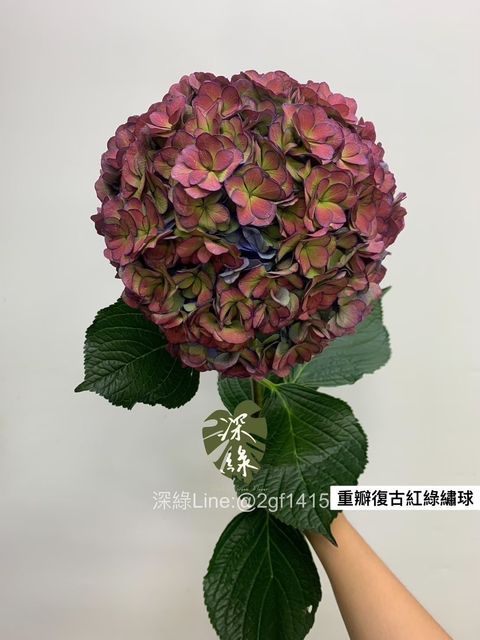 image_180AEA95-0FAE-4BCE-BD22-93C58B4A761C_1762047247