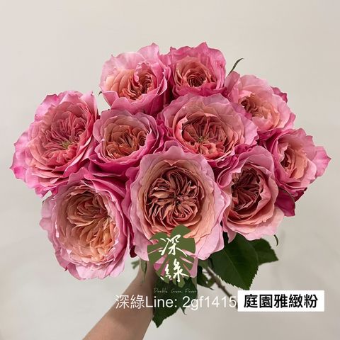 C49BF204-A858-44F4-93B3-B88929E022EF