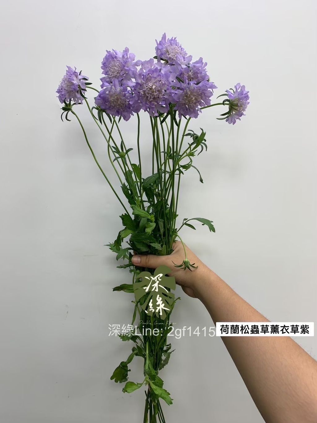 image_A53658CA-3E55-41D1-B599-1CB3262D80BB_1762060455