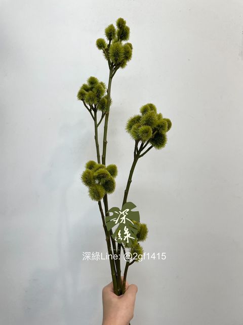 eZy Watermark_15-11-2024_11-20-16-6410上午-1731640955376