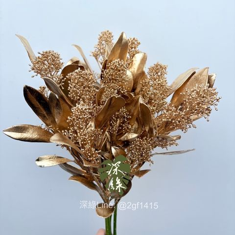 image_4A2D274F-75B8-4396-BE06-A03ABE6ABCD9_1762151901