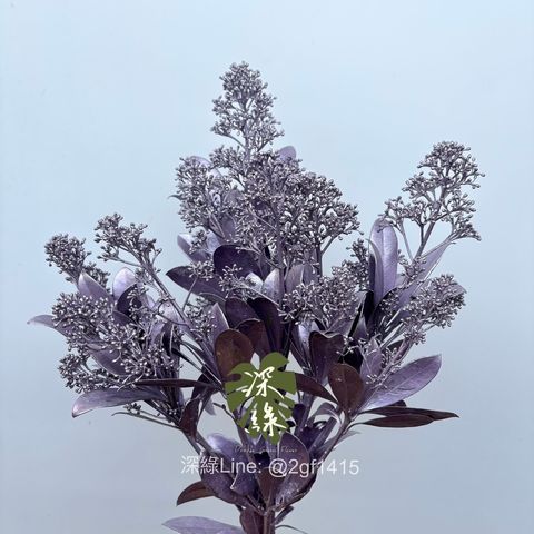 image_DF498CED-7417-4050-8575-EDC7DBAABEBD_1762152172