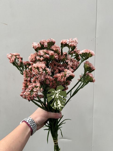 image_ECDE1B17-7CB0-486C-BDD7-E3ABB503DD41_1762230167