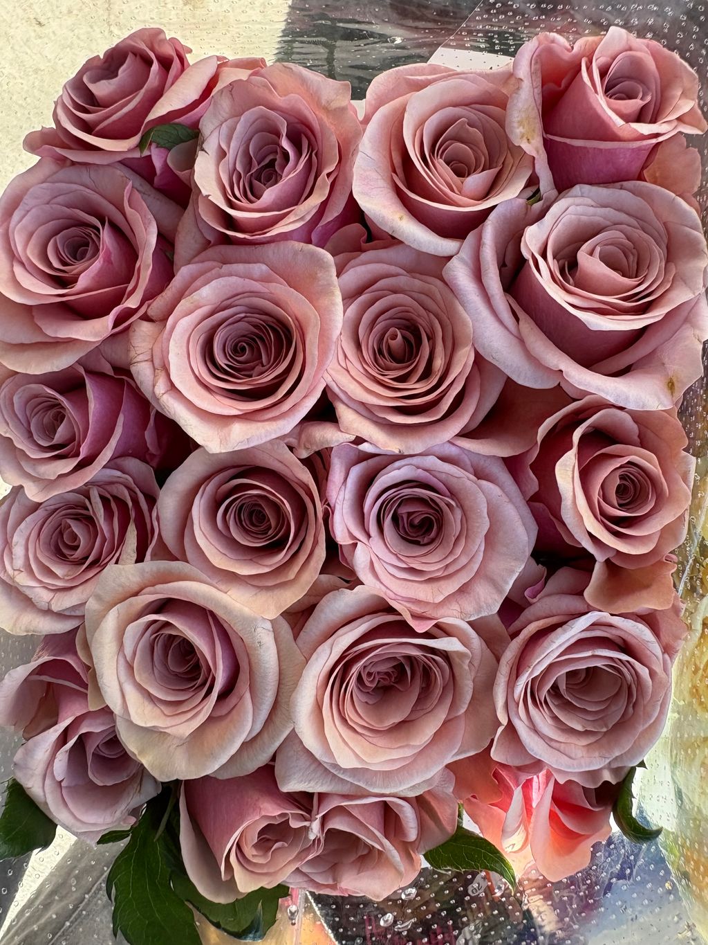 image_C68B27FF-73D5-4594-83AB-E73CA970EECD_1762325466