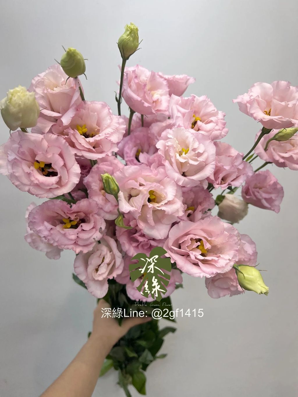 messageImage_1762614039678