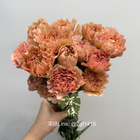 image_0AC7C244-AD9F-40F6-9D2B-147C46997FF6_1743416794