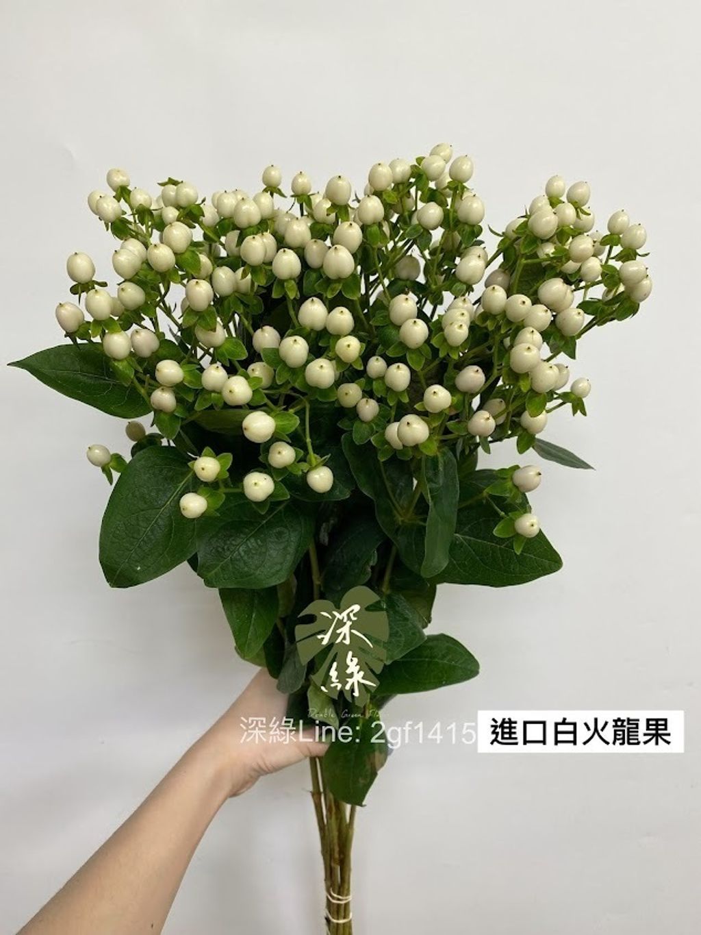 AIL4fc-LkLHJp0uv9bYdJx8JaVtzKs0xKC6vl2kM7Es3zc3iiElu1Y5WKSiuj9pHpTFPSLY-7xriMgZWe_k35EhesuW98ezpvlkHVP5BvyvYhp7F-_aWa0w26chu9drNWAvoy7JCHSszW3PqzJ5VO8_Z86wC=w634-h845-s-no