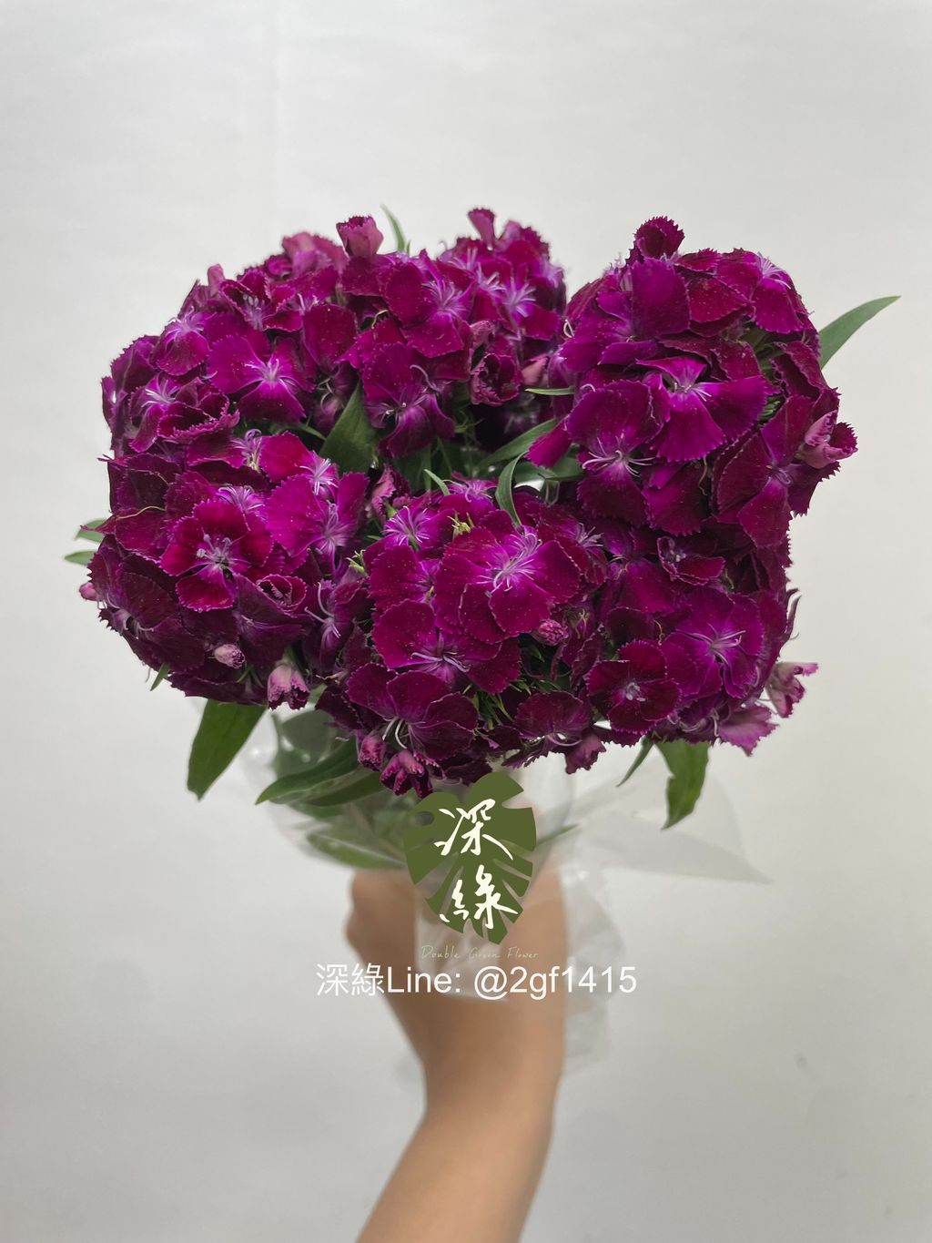 image_13E57204-4E92-4E5D-A163-CA849DF3B3D3_1762828839