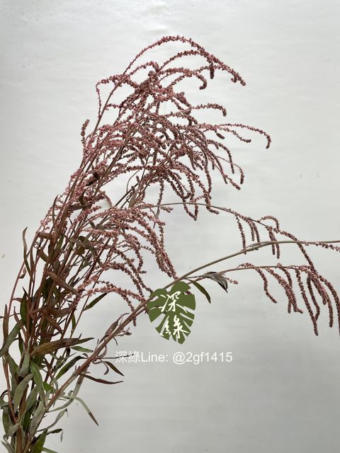 image_F8D43430-2877-4552-BCCD-99A143D655E9_1762828863