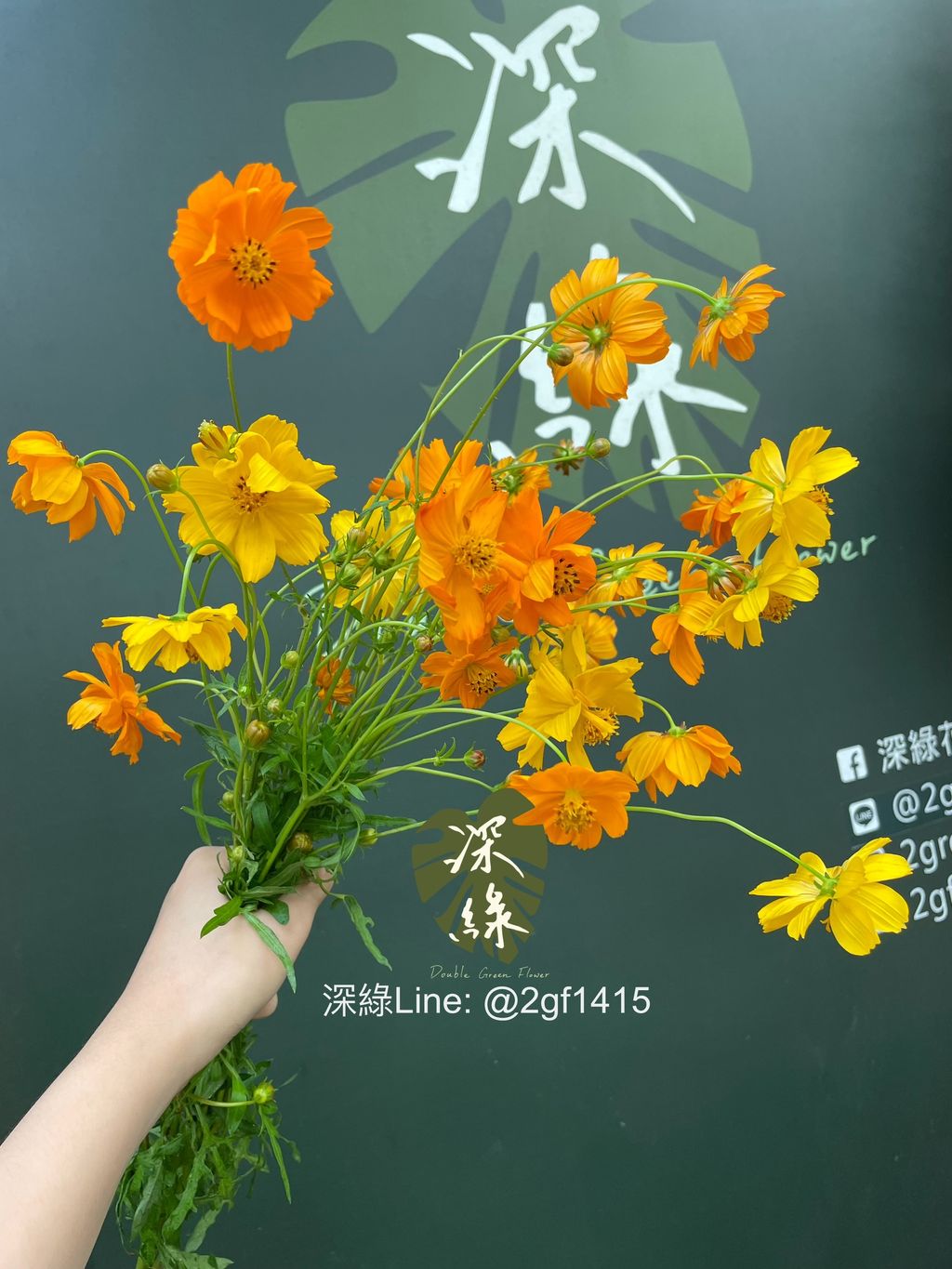 image_F5398FBD-4822-4C5C-8B54-103B0676E498_1762830224