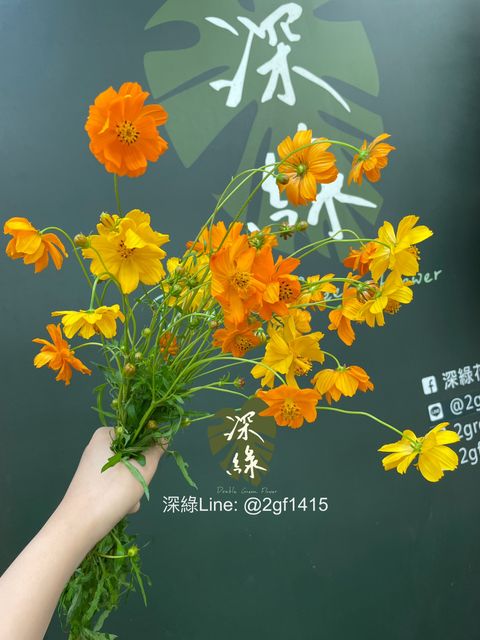 image_F5398FBD-4822-4C5C-8B54-103B0676E498_1762830224