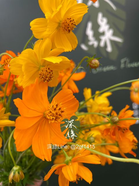 image_3D475FAA-77D5-4234-AE95-56D34FF06E8D_1762830224