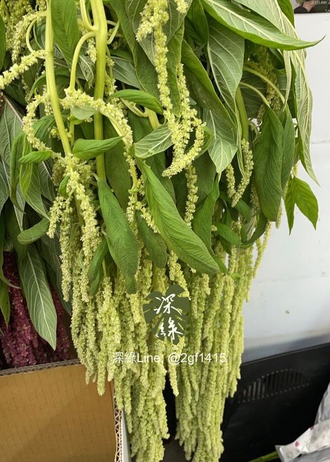 image_302AD2F4-CB38-496A-9B04-4D5085798C17_1762834294