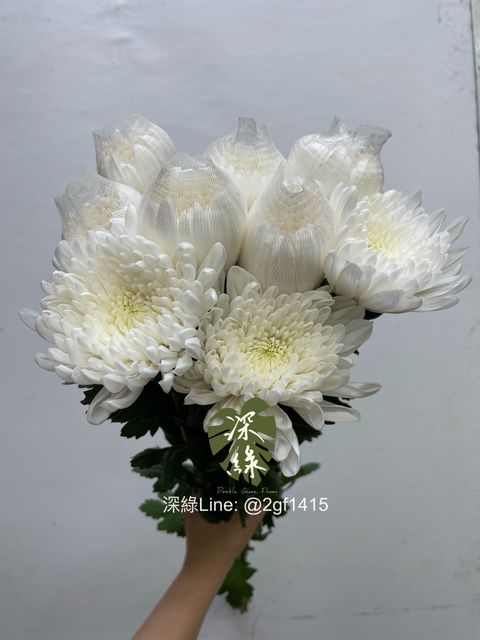 image_75596C79-95C8-4A46-BB8C-2B16ACEEAB3D_1762835623