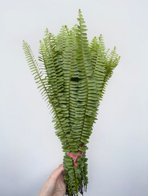 image_7BF7A3C9-B16A-4744-9966-E67FB4B44A06_1762931130