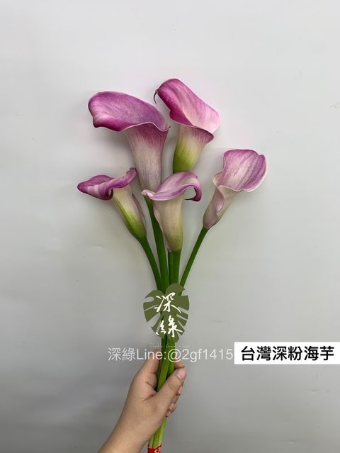 image_55A59B0A-0E11-4256-A4E1-CB34B565B674_1763010450