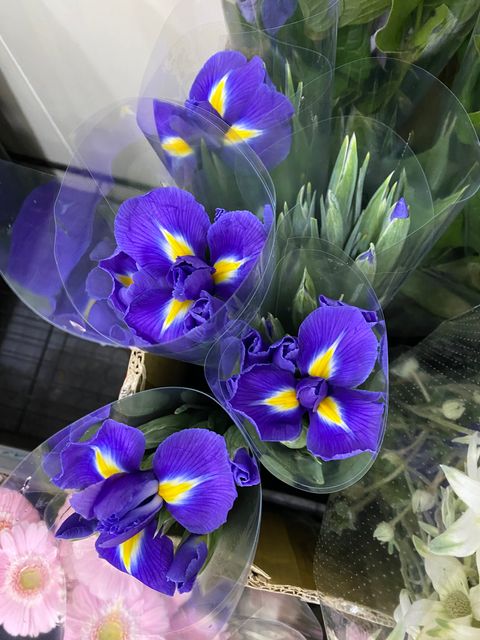 image_E62EDAAA-E1BF-44FD-83CD-E905A9C777B4_1763021643