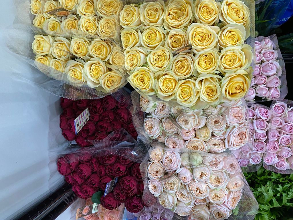 image_352FE1B1-4F9E-4CE3-A3CB-F086D31FEA1B_1763021757