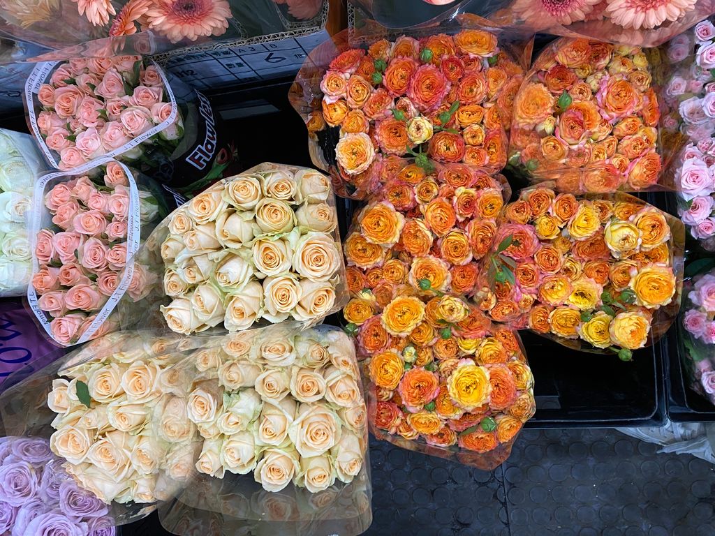 image_A9632657-8D15-48DE-B634-299652F0C55F_1763021757