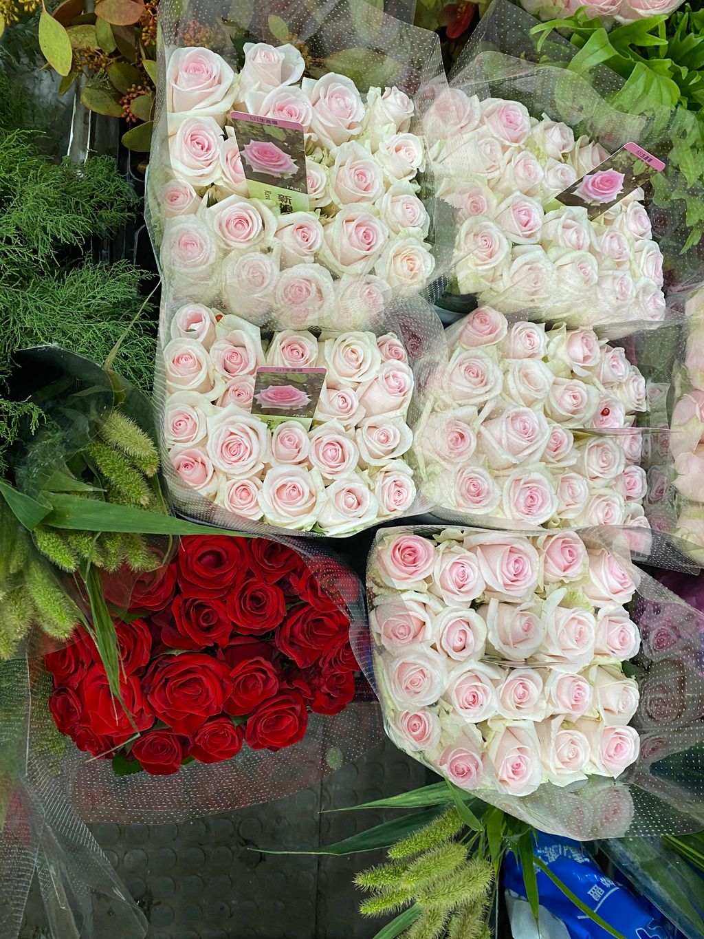 image_C86CB078-F016-42AC-AFBA-A13E38BF326E_1763021757