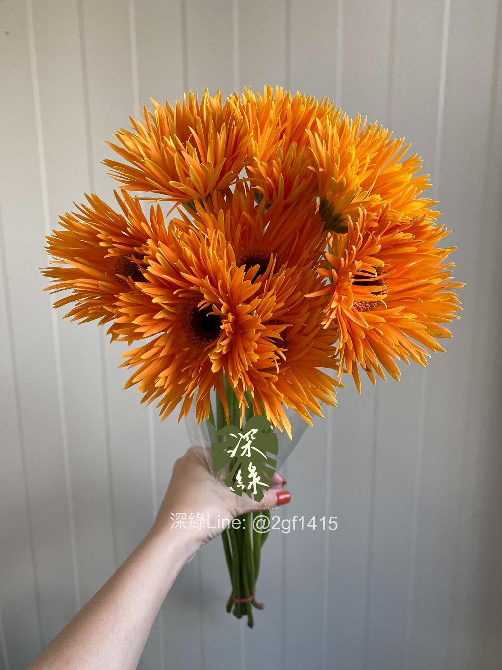 image_5119B473-ADA6-4B29-89C9-CA91B354373E_1763023235