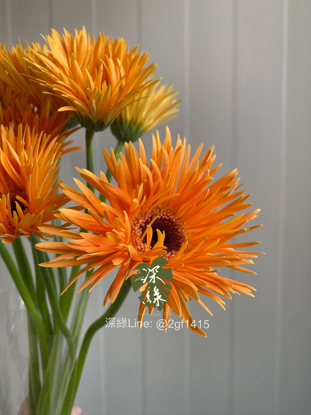 image_30F5C1A5-B855-4829-A749-1C8503F8C3C2_1763023235