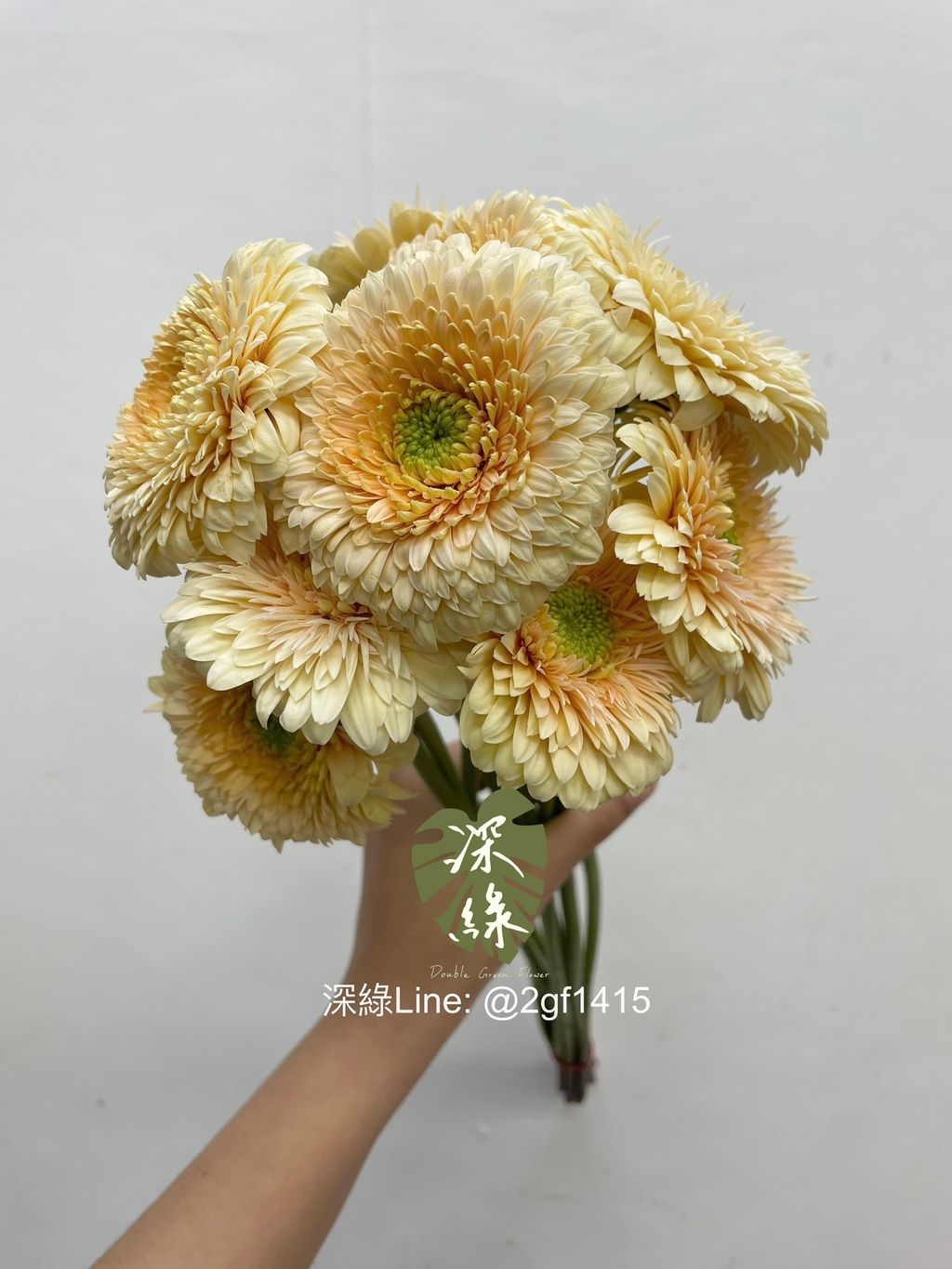 image_BE3F0F3B-741A-4B23-A3B5-52C00B86E23C_1761050338