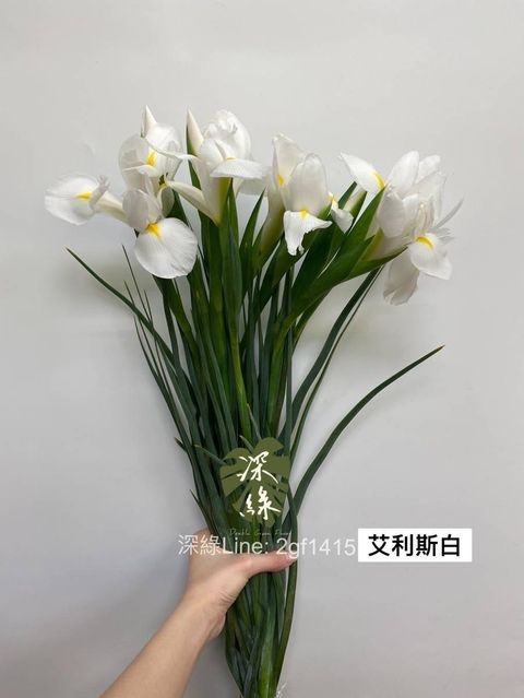 4DD1BEB8-B44F-4A2D-8AA3-C2E01854DCB5