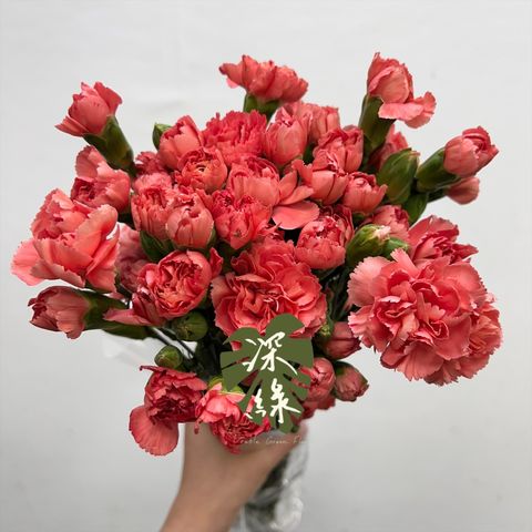 image_66C487B2-5073-4929-8888-CB74F58311F4_1763259671