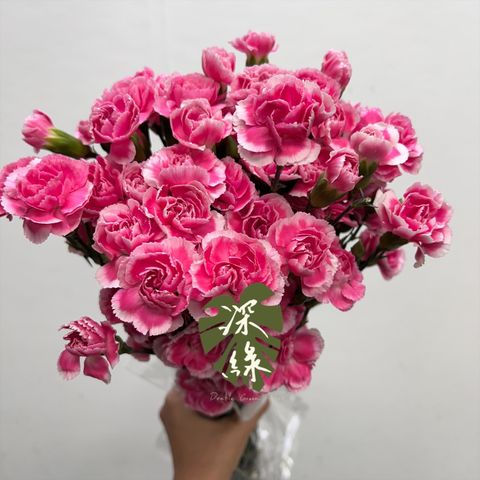 image_260C9E61-C6D5-4D17-B773-BFC2DB6D8180_1763259810