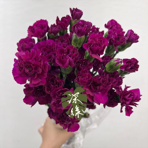 image_4C3CCF44-5D12-4C9B-8A84-6C9A3F8555DD_1763259855