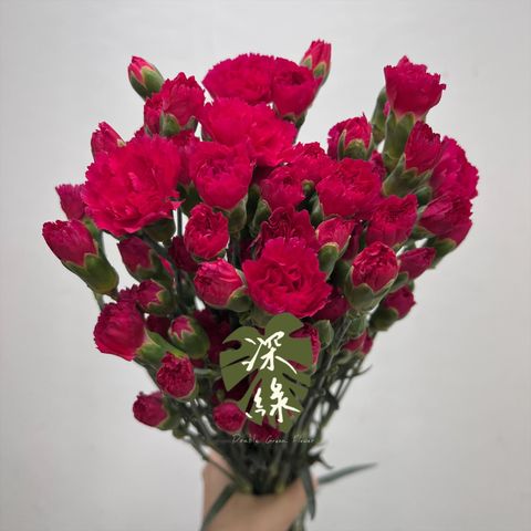 image_90288280-F188-487E-90FC-03EC5D79C8FD_1763261545