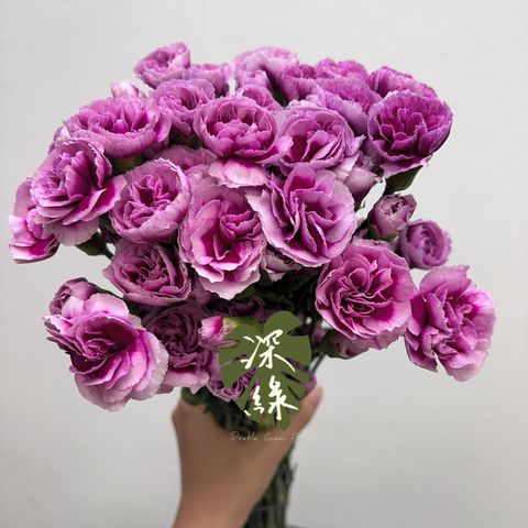 image_65254159-5AB5-4EB6-866D-9D4FA1C1B112_1763261746