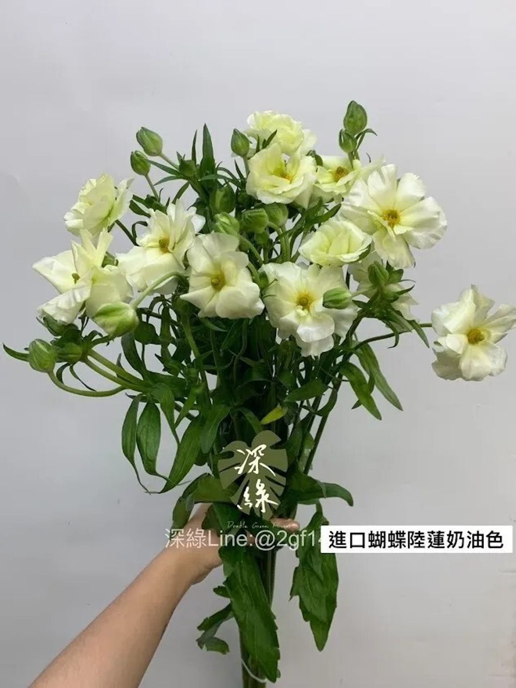 messageImage_1763274825306