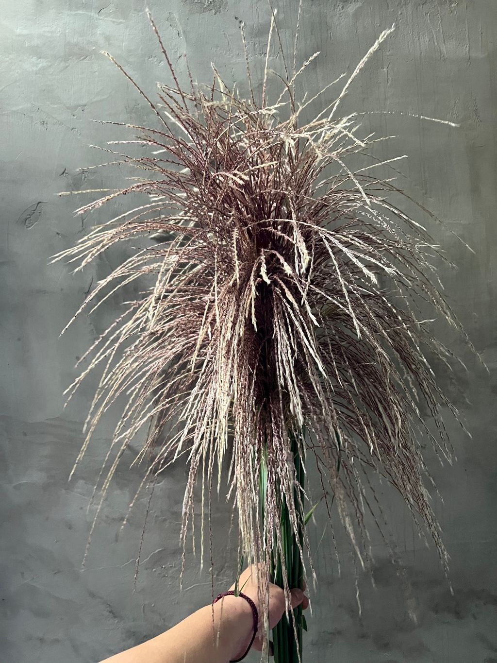 image_2E18F73F-332E-4DCC-BFB0-6190B1924CD7_1763280473