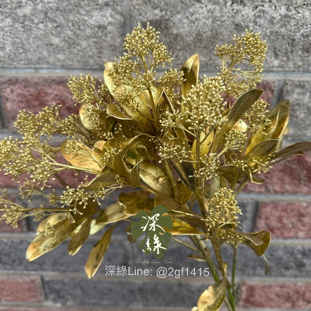 image_B3DCE014-F68C-4F29-B192-D7841C7053A0_1763369599