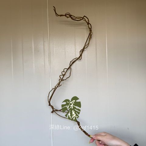 image_BB3076C2-2F31-43AF-B217-B0B05A9FE97C_1763439553