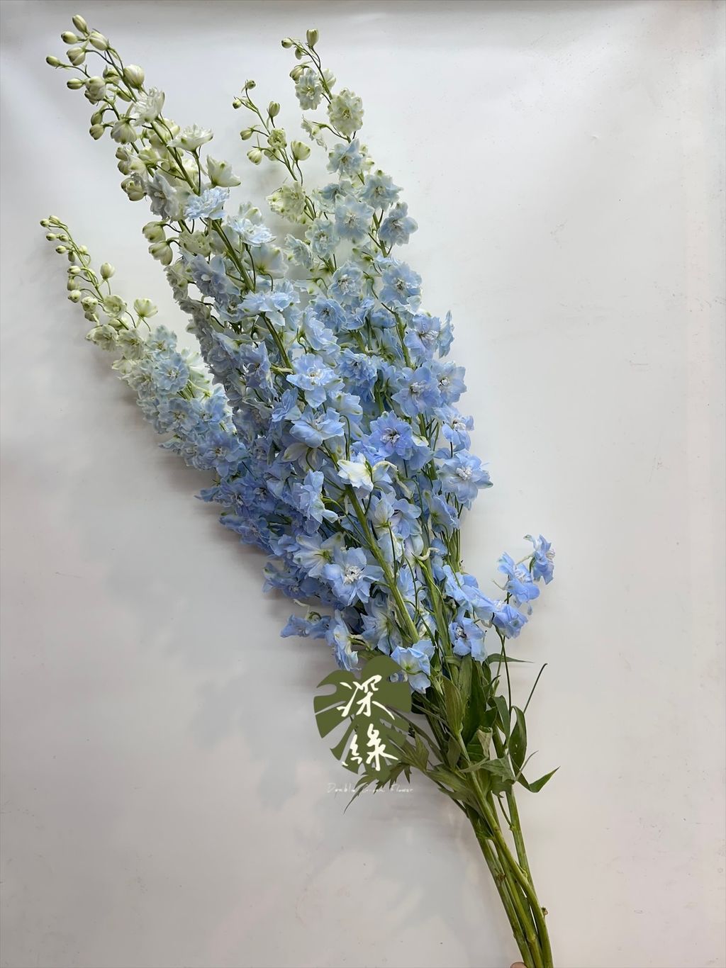 image_A1E03CD3-D8CC-4B06-91E4-FDCC3FD1BE2E_1763442383