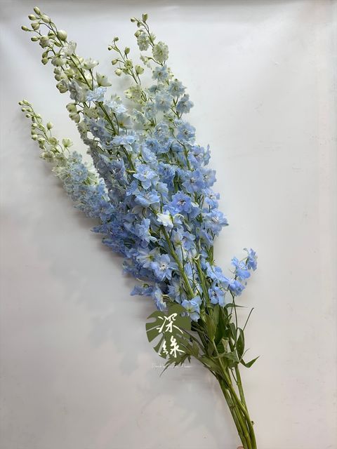 image_A1E03CD3-D8CC-4B06-91E4-FDCC3FD1BE2E_1763442383